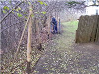 Fence Gallery Photo - Fence Removal 2.jpg